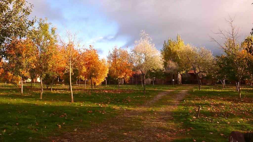 Camping Ain Jaca Exterior photo